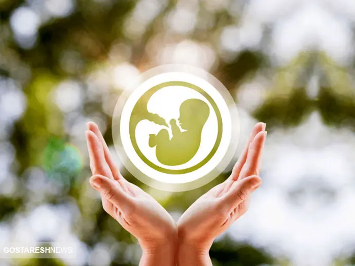 دولت گره بزرگی از کار زوج‌های جوان باز کرد